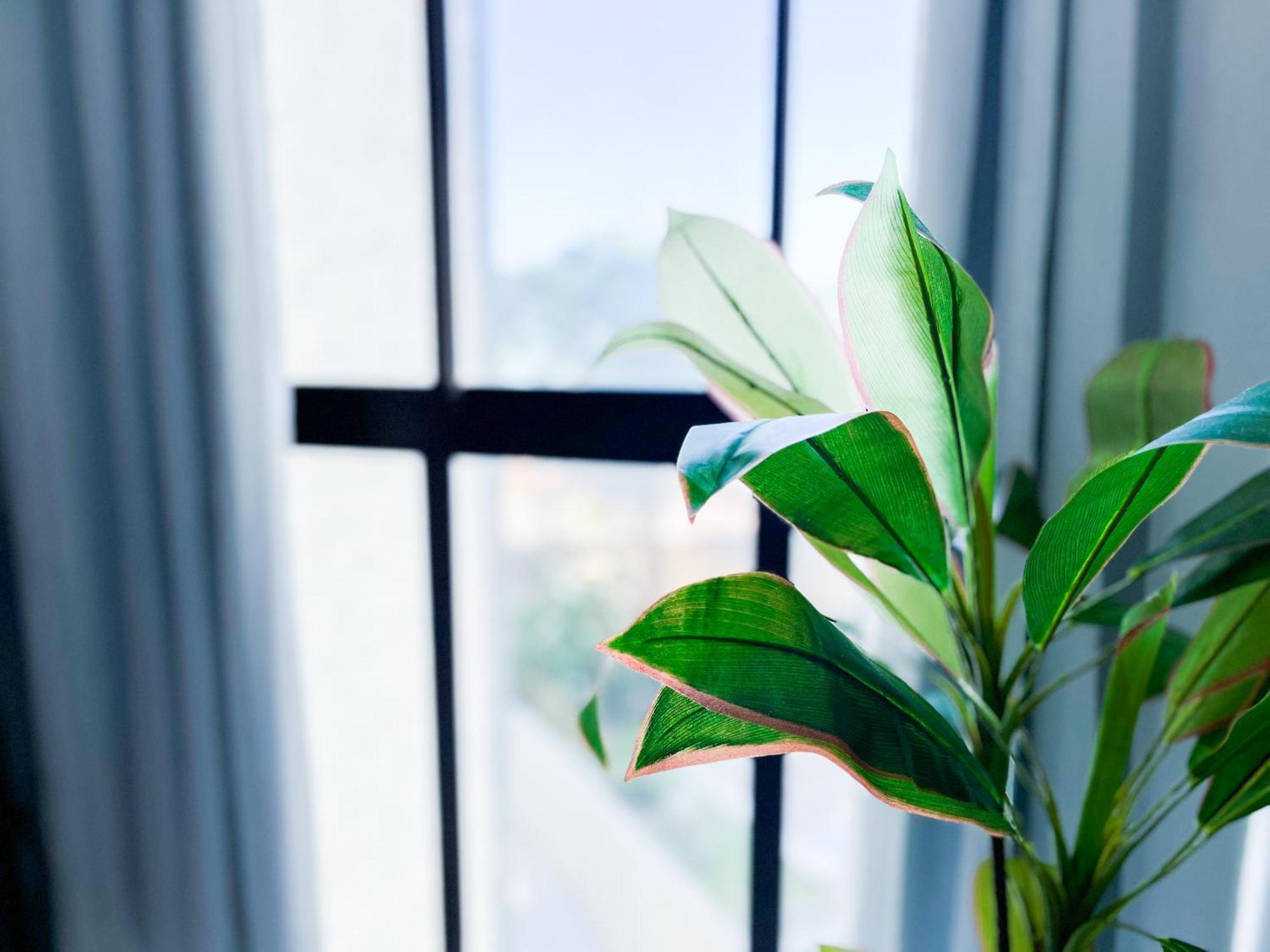 Flats By Bnb Flex - Costa Vicentina เฮซิเฟ ภายนอก รูปภาพ
